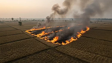 MP Records Highest Number Of Stubble Burning Incidents In First 3 Weeks Of April