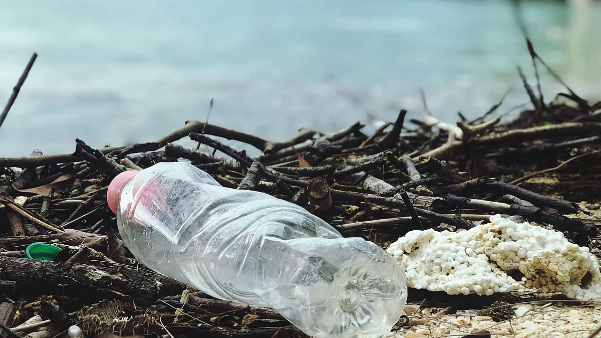 Photo by Catherine  Sheila : Plastic pollution in oceans continues to rise, impacting marine life and ecosystems
