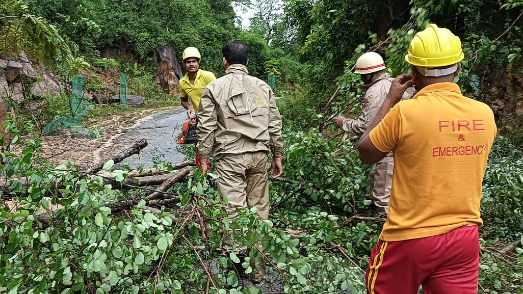 Impact of Cyclone Montha in Odisha - X/@Odisha Fire & Emergency Services