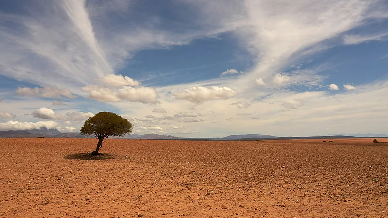 Photo by Unsplash