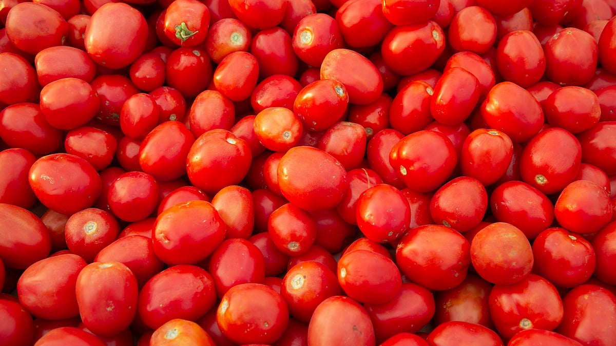 Price of tomato in Pakistan has surged due to a halt in trade between Pakistan and Afghanistan