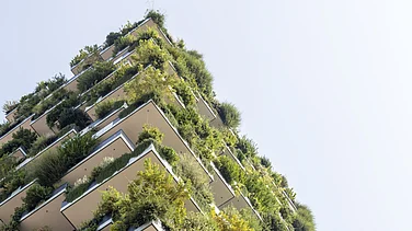 India to Push for Climate Finance, Stronger Stand at COP30 in Brazil