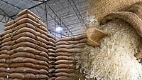 India's Rice Exports to Rise over 10 % in FY26 in Quantity Terms: APEDA Chairman KNN India : India exported 20.1 million tonnes of rice valued at $ 12.95 bn