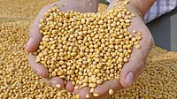 India's soybean meal exports stood at 2.275 million tonnes