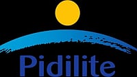 Wikipedia : Pidilite Industries