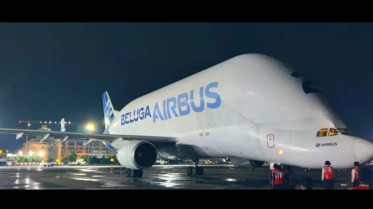 Beluga Airbus - null