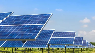 SJVN Q2 Net Profit Dips 30 % to ₹ 308 Cr; Company Looks to Raise ₹ 1,000 Cr