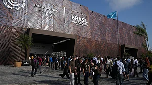 Developing and Developed Countries Agendas Will Diverge at COP30—Here’s How