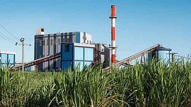 Maharashtra Govt Announces Incentive Scheme For Sugar Mills; To Reward Units For Quality