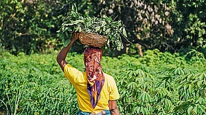 No Relief for States; Centre Retains 60:40 Funding Formula for Rural Employment Scheme