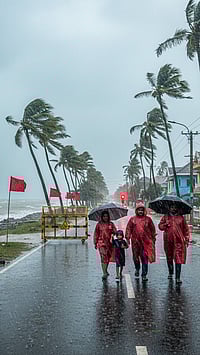 Cyclone Ditwah Heads Towards Tamil Nadu & Andhra; IMD Issues Fresh Alerts | Check Details Here Cyclone Ditwah Heads Towards Tamil Nadu & Andhra; IMD Issues Fresh Alerts | Check Details Here