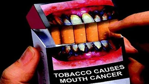 Winter Session Begins; Govt to Table Central Excise Amendment Bill Impacting Tobacco & Pan Masala