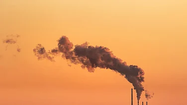 Photo by Marek Piwnicki