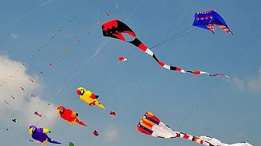 Rising Raw Material Costs Push kite Prices Up by 40% Ahead of Makar Sankranti Festival