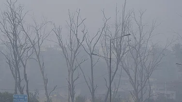 Photo by Tribhuvan Tiwari