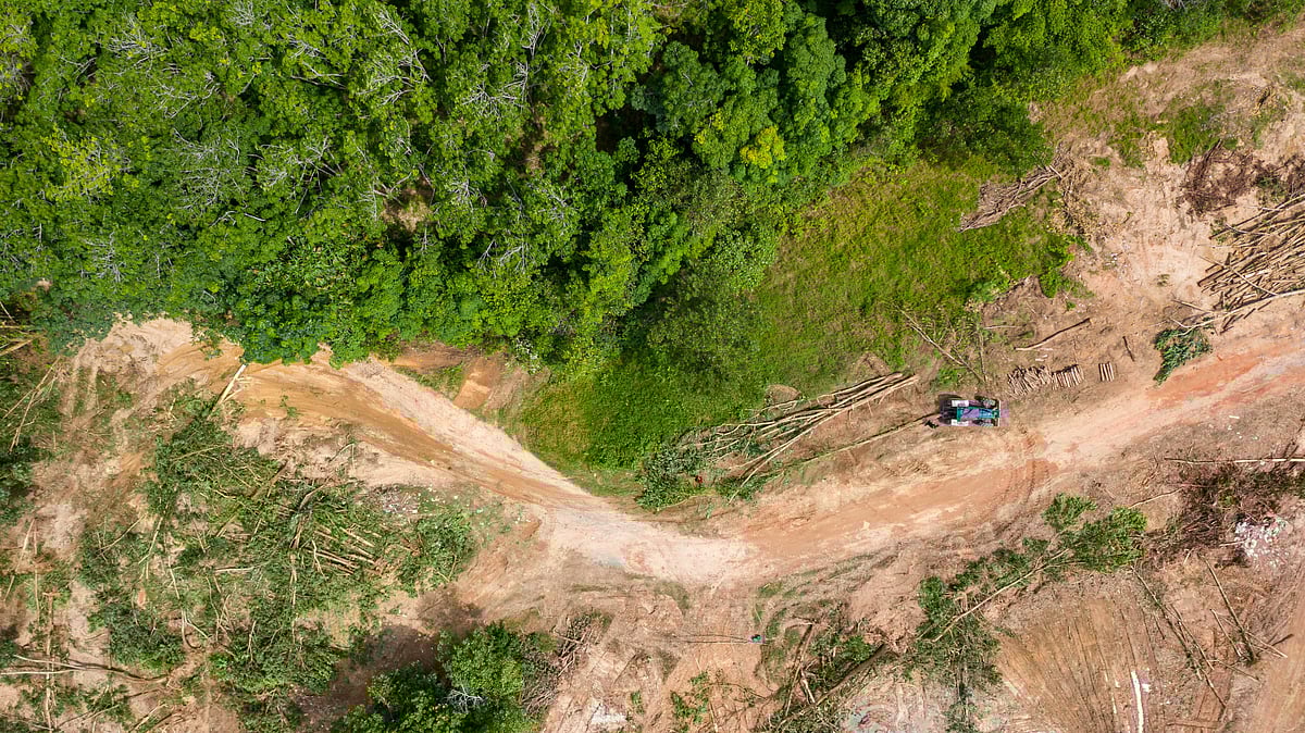 Biodiversity Loss, Land Degradation Accelerate Global Warming, Says Report