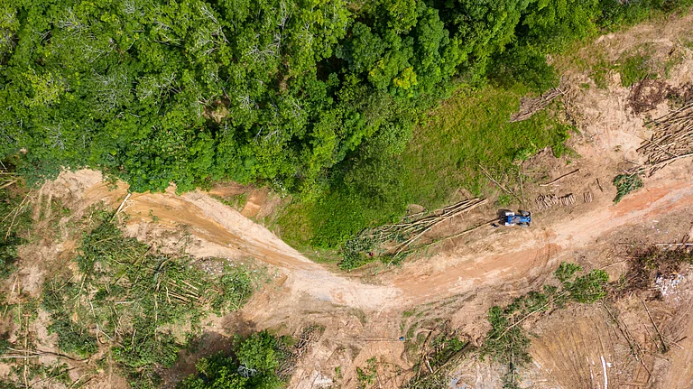 Deforestation and ecosystem degradation contribute to rising global temperatures - null