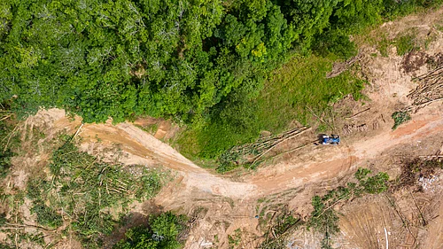 Deforestation and ecosystem degradation contribute to rising global temperatures