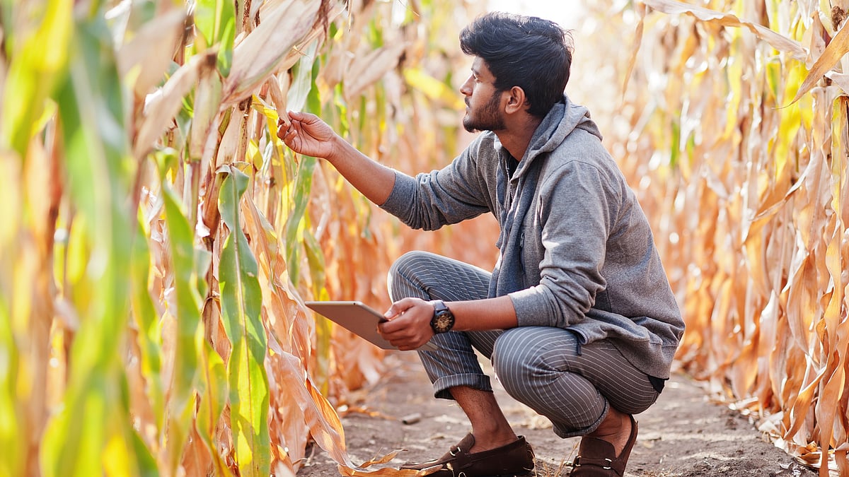 NABARD to Launch ₹1,300-Cr Funds for Agritech, Climate Start-Ups in 2026 – Outlook Business NABARD to Launch ₹1,300-Cr Funds for Agritech, Climate Start-Ups in 2026 – Outlook Business