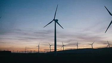 Photo by Leeloo The First