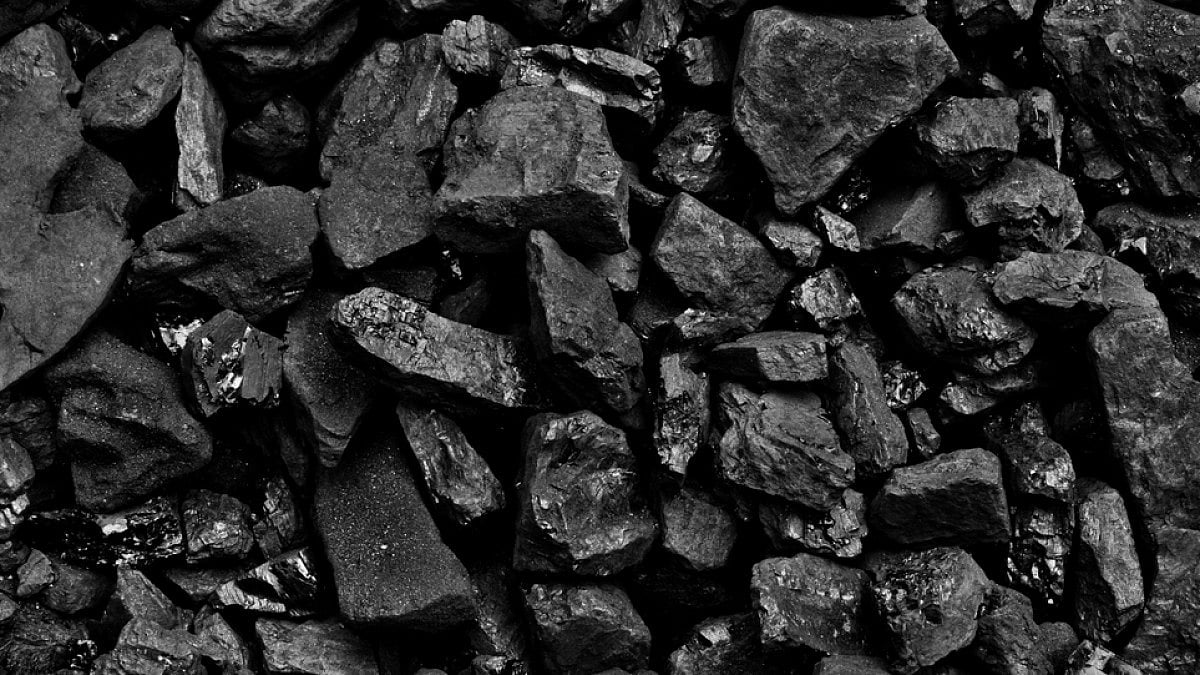 Bharat Coking Coal Lists at 96% Premium, Shares Cool After Strong Debut