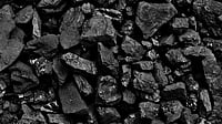 Bharat Coking Coal Lists at 96% Premium, Shares Cool After Strong Debut