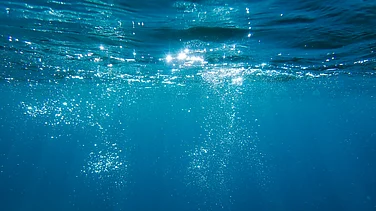 World Economic Forum Makes Water a Global Priority with ‘Blue Davos’ & 'Year of Water' — All You Need to Know