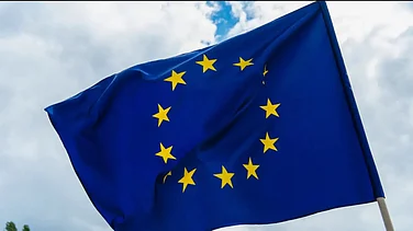 European Parliament to Suspend US Trade Deal Amid Greenland Dispute: Here’s What’s Been Brewing