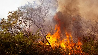 Photo by Eclipse Chasers