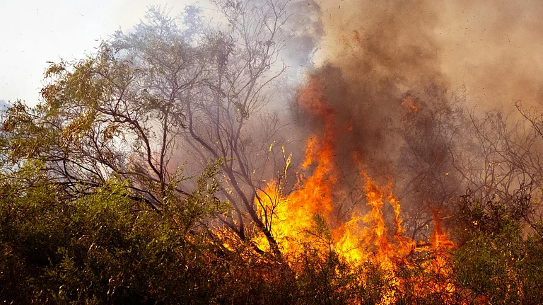 Extreme Heat exposure - Photo by Eclipse Chasers