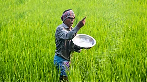 A farmer spreads fertiliser on an agricultural field