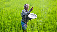 A farmer spreads fertiliser on an agricultural field