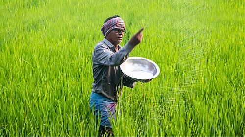 A farmer spreads fertiliser on an agricultural field