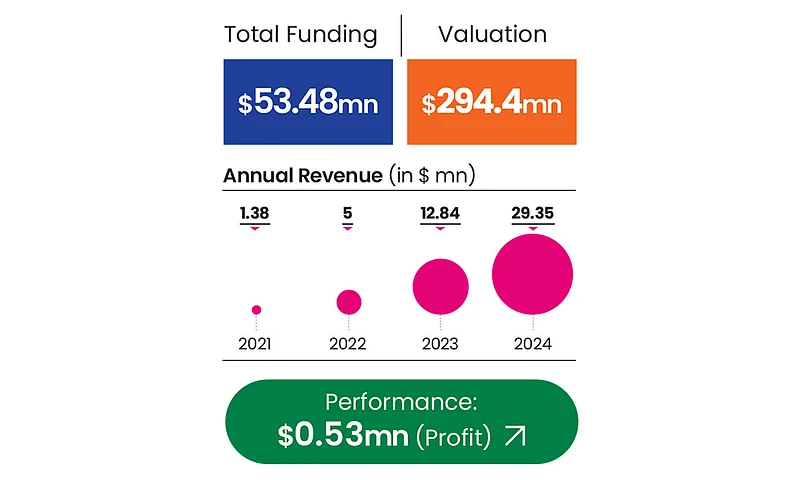 Snitchs performance metrics