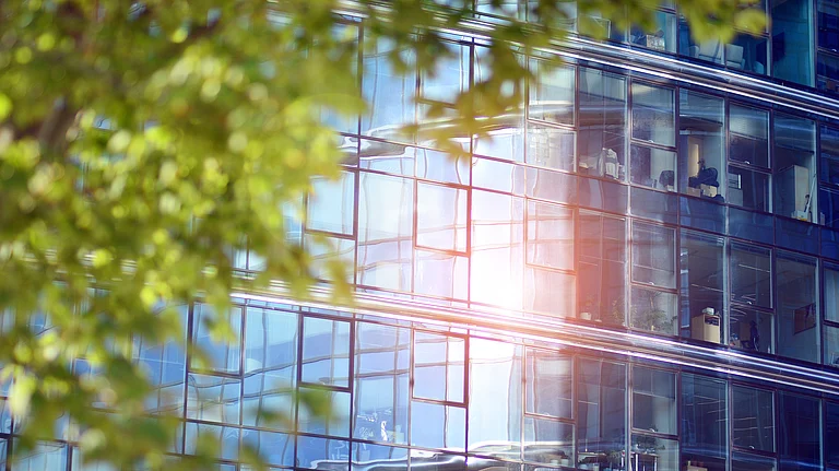 Carbon capture and nature-based solutions are increasingly central to net-zero strategies - null