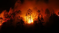How to Turn the Forest Fire Season into Prevention Season Forest fire prevention and resilience efforts in India’s Himalayan states