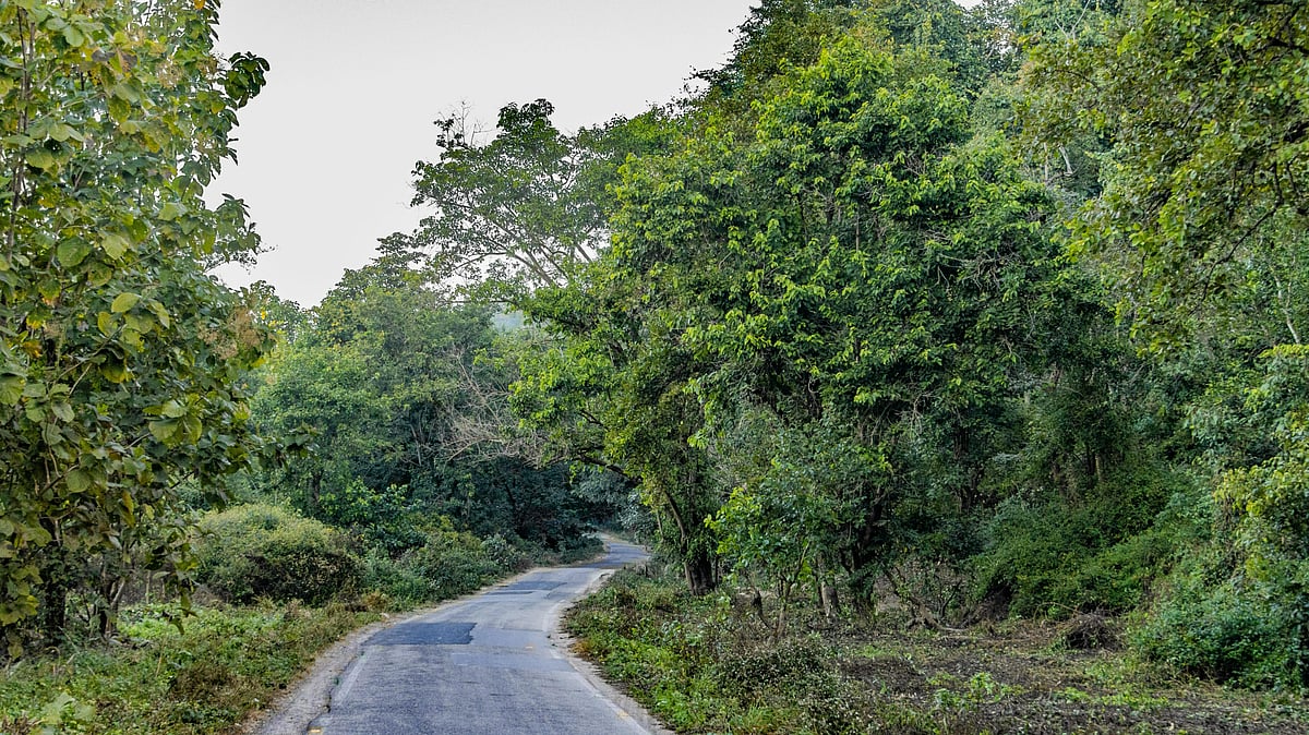 India’s new centralised environmental fund framework launched - null