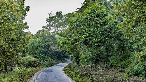 India’s new centralised environmental fund framework launched