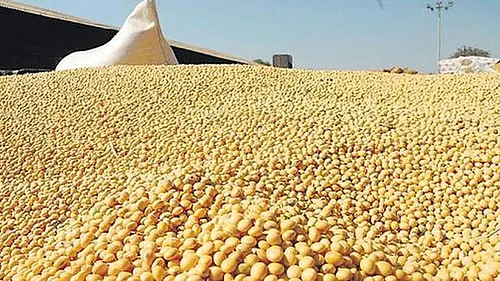 Indias Oilmeals Exports Fall 42% In January on Weak Soybean, Rapeseed Shipments