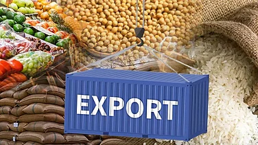 India's Agri Products, Auto Exports Making Greater Inroads in EU