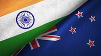 India, New Zealand Discuss Ways to Enhance Co-Operation in Horticulture iStock