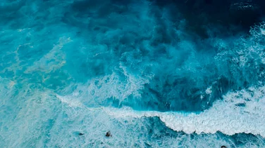 Ocean Carbon Blindspot Could Undermine Climate Mitigation & Adaptation Strategies, Says Report