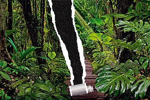 Even companies aligned with the National Indicator Framework—the government’s central scoreboard for SDGs—say it is much too complex