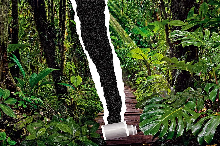 Even companies aligned with the National Indicator Framework—the government’s central scoreboard for SDGs—say it is much too complex - null