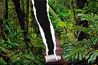 NIF Adoption Low Among Indian Companies, Reveals Teri-Outlook Business Survey Even companies aligned with the National Indicator Framework—the government’s central scoreboard for SDGs—say it is much too complex