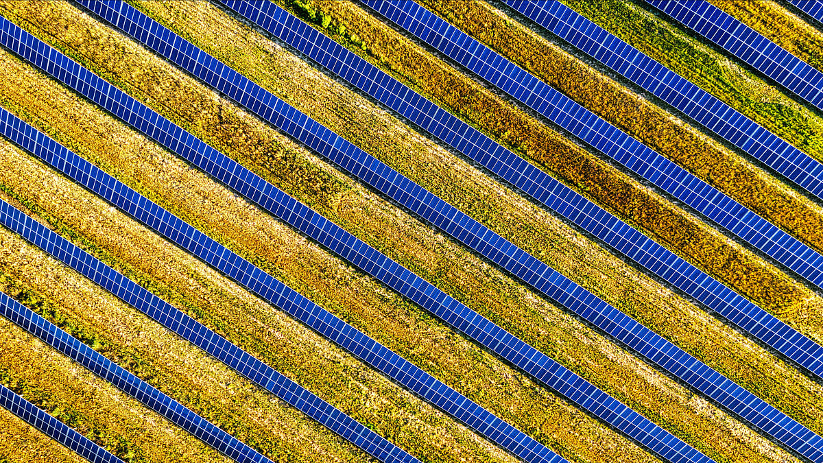 Solar panels lined up - null