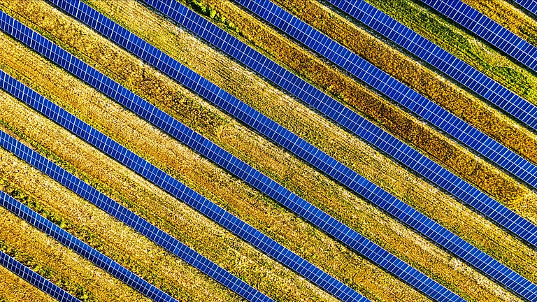 Solar panels lined up - null