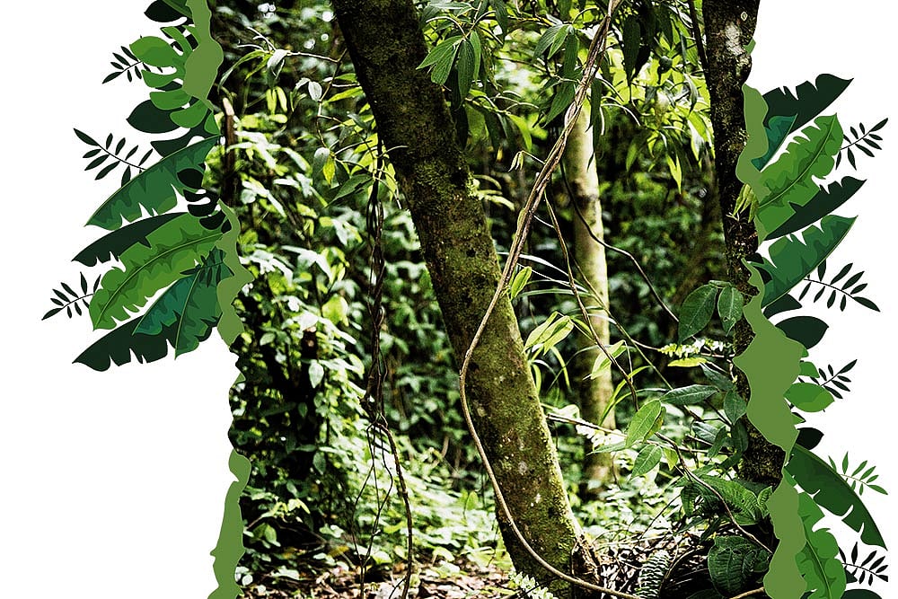 India needs an estimated $10trn in financing to meet its 2070 net-zero goal