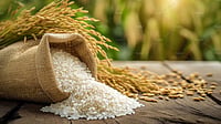 Iran Crisis: Rice Exporters Stare at Shipment Disruptions, Payment Delays freepik