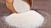 Sugar Production Rises by 12.43% to 24.75 Mn tn Till Feb This Season: ISMA freepik